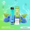 X-QLUSIVE BLUERAZZ – 2500 PUFFS import placeholder for 70417