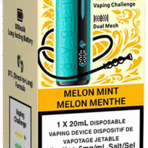 elf bar e shisha 30000 disposable vape melon mint