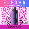 ELF BAR E-Shisha 30000 Disposable Vape - Grape Mint import placeholder for 9869960479033