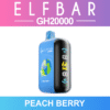 ELF BAR GH20000 Disposable Vape - Peach Berry import placeholder for 9646927970617