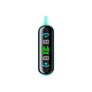 elfbar gh20000 ice mint