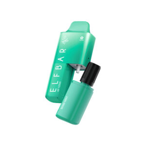 elfbar af12000 miami mint