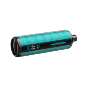 elfbar e shisha 30k melon mint