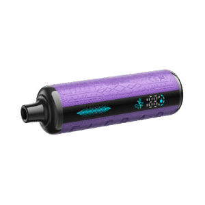 elfbar e shisha 30k grape mint