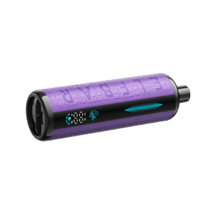 elfbar e shisha 30k grape mint