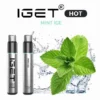MINT ICE – IGET HOT – 5500 PUFFS import placeholder for 23849