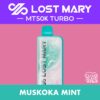 LOST MARY MT50K TURBO Disposable Vape - Muskoka Mint import placeholder for 9998033191225