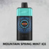 MOUNTAIN SPRING MINT ICE – IGET ONE – 12000 PUFFS import placeholder for 81381