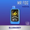MR FOG NOVA 36K Disposable Vape - Blue Razz Steezy Blueberry import placeholder for 9779939246393