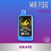 MR FOG NOVA 36K Disposable Vape - Blue Razz Steezy Grape import placeholder for 9779938787641