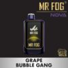 MR FOG NOVA 36K Disposable Vape - Grape Bubble Gang import placeholder for 9765925716281