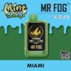 MR FOG NOVA 36K Disposable Vape - Mint Steezy Miami import placeholder for 9912773345593