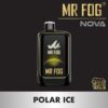 MR FOG NOVA 36K Disposable Vape - Polar Ice import placeholder for 9765925191993