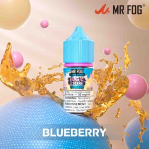 mr fog salt magic cotton blueberry