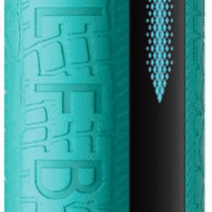 elf bar e shisha 30000 disposable vape melon mint