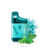 Vuse Go 1000 - Polar Mint import placeholder for 8902128926960
