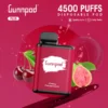 GUNNPOD PLUS CHERRY POMEGRANATE ICE – 4500 PUFFS import placeholder for 68922