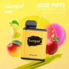 GUNNPOD PLUS MANDO RITA – 4500 PUFFS import placeholder for 68923
